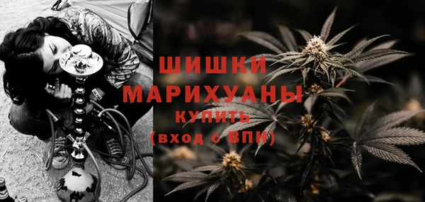 спайс Дмитриев